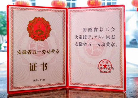 喜报！凯发智能科技股份有限公司董事长尹其宏荣获“安徽省五一劳动奖章”
